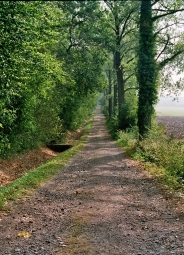 Der Weg der Jakobspilger an der Horne zwischen Herbern und Werne.
