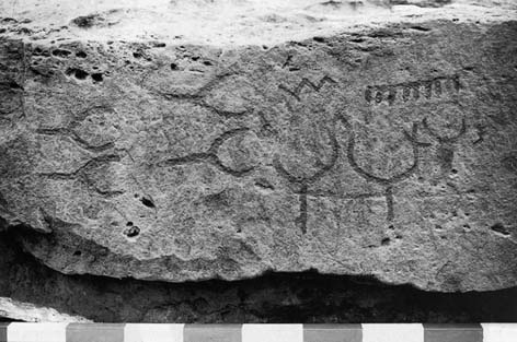 Stein aus dem Megaltihgrab von Warburg mit eingepickten Zeichen. Stein aus dem Megaltihgrab von Warburg mit eingepickten Zeichen.
