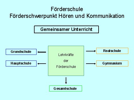 Gemeinsamer Unterricht – Struktur