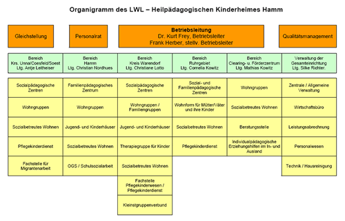 Organigramm