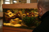 Stationsaquarium Stationsaquarium