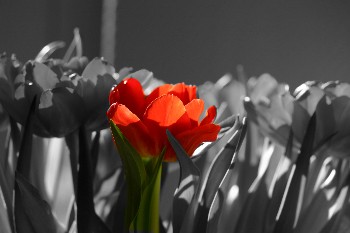 Die Welt wieder farbig sehen Die Welt wieder farbig sehen