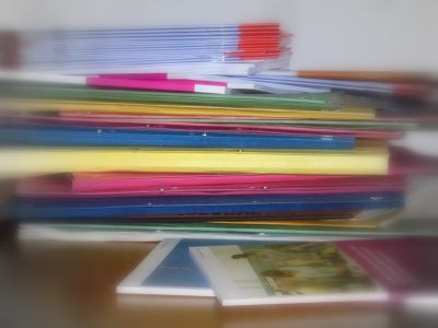 Gutachten zur inklusiven Beschulung