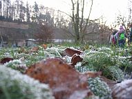 Bilddatei: winter_191.jpg