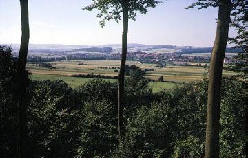 Blick von Süden durch Bäume auf Barntrup und zum Lipper Bergland