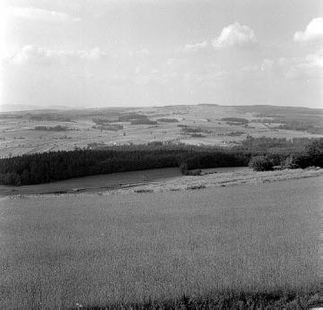 Agrarlandschaft bei Bösingfeld im Lipper Land
