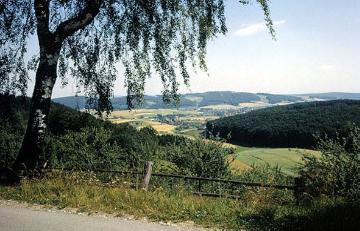 Blick in das Lipper Bergland bei Hohenhausen