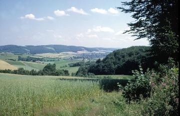 Blick von Osterhagen nach Westen in das Lipper Bergland