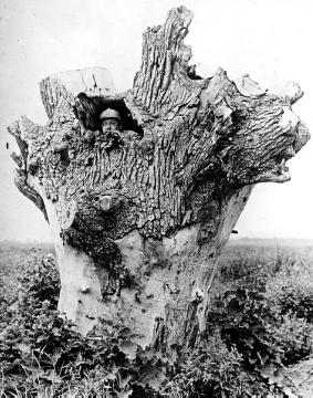 Infanterie im Ersten Weltkrieg: Beobachtungsposten, französischer Soldat in einem Baum aus Beton