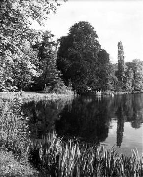 Rombergpark mit Gräfte des Wasserschlosses Brünninghausen (auch "Schloss Romberg"), undatiert, um 1930?