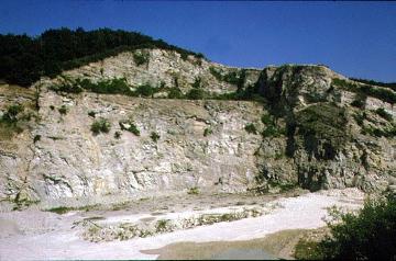 Kalksteinbruch 'Großer Berg' bei Künsebeck: Blick auf die Kalksteinwand