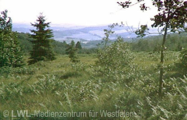 05_495 Westliches Sauerland 1940er - 1970er Jahre (Altkreis Altena)
