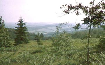 Naturschutzgebiet Wilde Wiese: Hangmoor auf der Nordhelle im Ebbegebirge