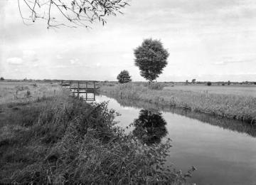 Begradigte Ems mit Stauwehr und gehölzarmen Ufern (Flussregulierung der Periode 1908-1913)