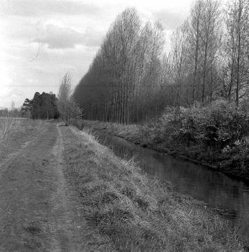 Boker Kanal mit Uferweg bei Sudhagen, 32 km langer Bewässerungskanal zwischen Paderborn-Neuhaus und Lippstadt, in Funktion 1853 bis 1970er Jahre