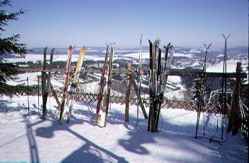 Skispalier am Restaurant "Bobhaus" an der Bobbahn