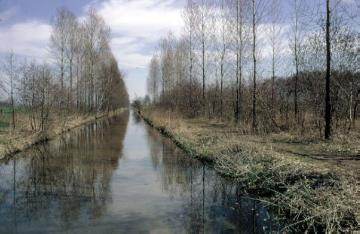 Boker Kanal bei Delbrück, 32 km langer Bewässerungskanal zwischen Paderborn-Neuhaus und Lippstadt, in Funktion 1853 bis 1970er Jahre