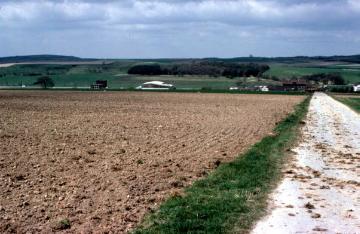 Feldflur auf der Paderborner Hochfläche mit ansteigender Schichtstufe der Egge bei Altenbeken-Buke