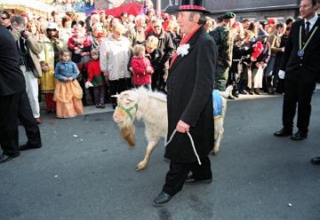 Einzug der Stars: "Ziegenbocksmontag" in Münster-Wolbeck, traditioneller Karnevalsumzug mit Ziegenböcken in der Woche vor Rosenmontag