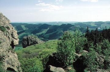Im Naturschutzgebiet Bruchhauser Steine auf dem Istenberg; Blick nach Nordosten zum Ginsterkopf