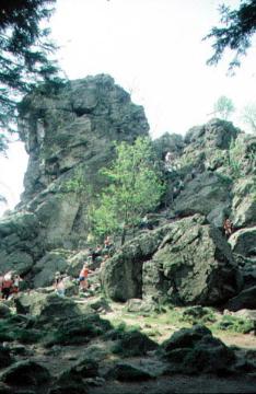 Im Naturschutzgebiet Bruchhauser Steine auf dem Istenberg bei Bruchhausen: Wandergruppe am Feldstein
