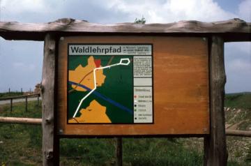 Hinweistafel mit Waldlehrpfad im Naturschutzgebiet Bleikuhlen