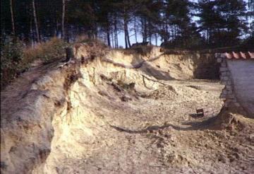 Rand einer Sandgrube: Geologisches Profil unter Nadelwald bei Einen