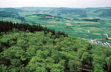 Tallandschaft südwestlich vom Istenberg (NSG Bruchhauser Steine) mit Ortschaft Bruchhausen