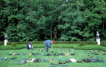 Gärtner bei der Bepflanzung des Barockgartens von Haus Rüschhaus