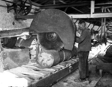 Holzschuhmanufaktur, Sägewerk: Arbeiter an der Kreissäge