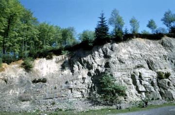 Felswand am Stimstamm (551 m NN)