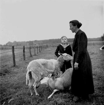 Sonntagnachmittag auf dem Hof Fasselt in Brünen-Havelich, Mutter und Sohn, auf der Schafswiese