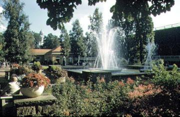 Springbrunnen im Kurpark