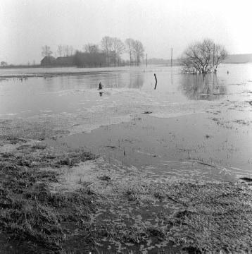Hochwasser der Stever: Überschwemmte Uferwiesen