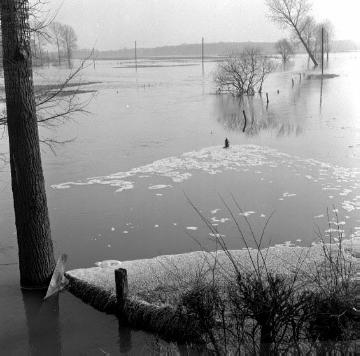 Hochwasser der Stever: Strommaste auf überschwemmten Weiden