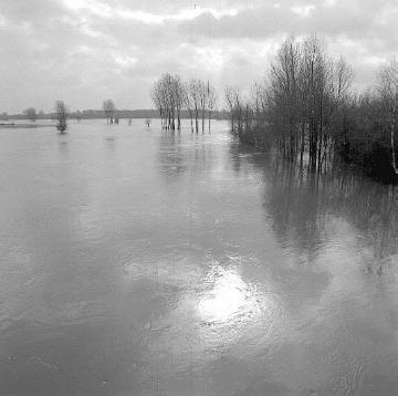Winterhochwasser in der Ems-Werse-Mündung: Überschwemmtes Flurgehölz bei Gelmer
