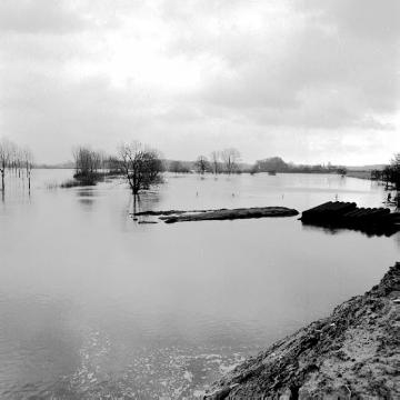 Winterhochwasser in der Ems-Werse-Mündung: Überschwemmte Flur bei Gelmer