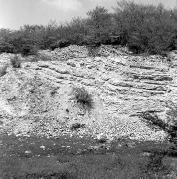 Gesteinslagen in einem Kalksteinbruch