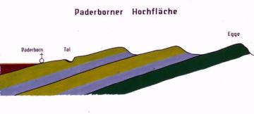Geologische Skizze des Schichtstufenbaus im Bereich Egge und Paderborner Hochfläche