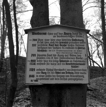 Informationstafel zur Geschichte der Iburg auf dem Bergsporn westlich der Stadt