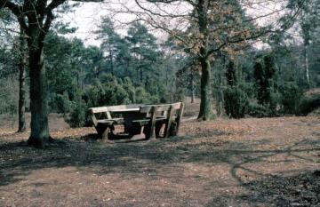Wacholderpartie mit Rastplatz im Birken-Kiefern-Forst der Gimbter Heide, Greven, 1964