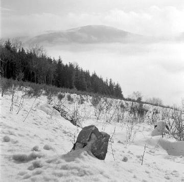 Winternebel im Tal an der "Alten Grimme" zwischen Elkeringhausen und Grönebach