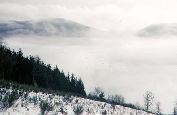 Winternebel im Tal an der "Alten Grimme" zwischen Elkeringhausen und Grönebach