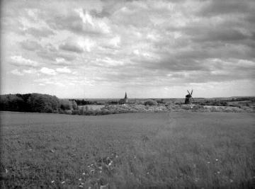 Weideflur am Ortsrand mit Blick auf die St. Gertrud-Kirche und die Kappenwindmühle