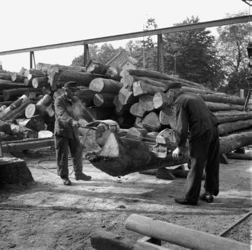 Brakeler Gewerbebetrieb: Holzlager einer Sperrholzfabrik