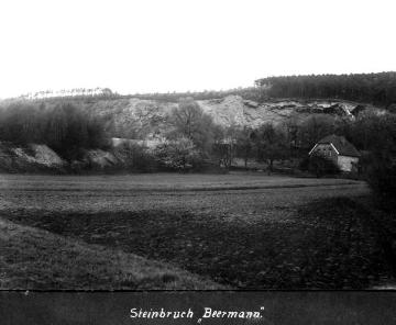 Steinbruch "Beermann" zwischen Riesenbecker Berg und Gravenhorst