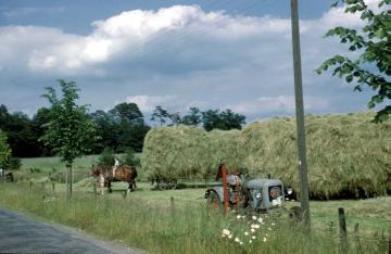 Heuernte im Münsterland: Hoch beladenes Pferdefuhrwerk, 1960er Jahre