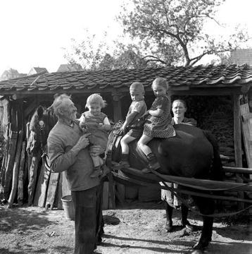Kinder der Familie Elfering auf einem Pferd