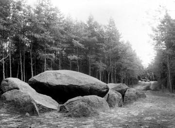 Die "Kellersteine": Megalithgräber zwischen Ahlhorner Heide und Endeler Heide