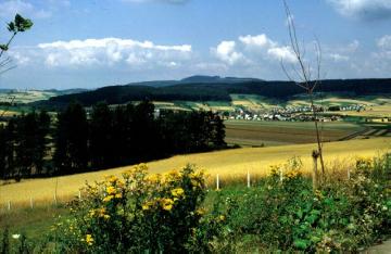 Agrarlandschaft des Oberwälder Landes bei Lütmarsen